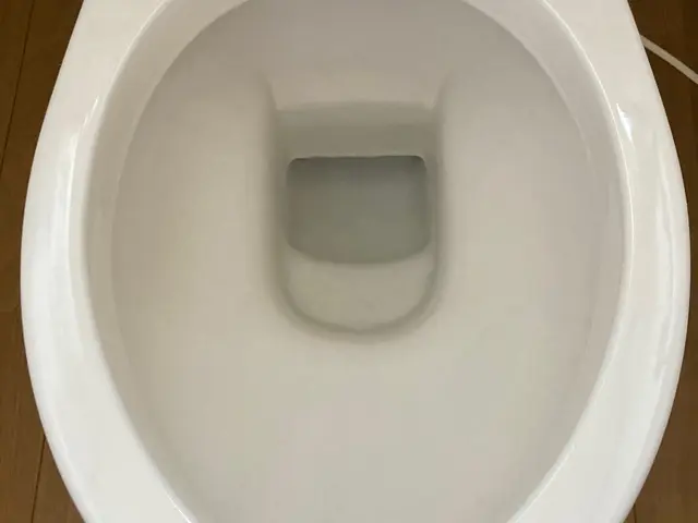 トイレクリーニング